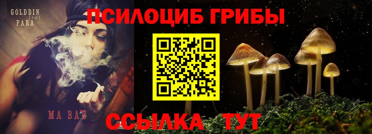Протвино  Галлюциногенные грибы Magic Shrooms  Вход с VPN 