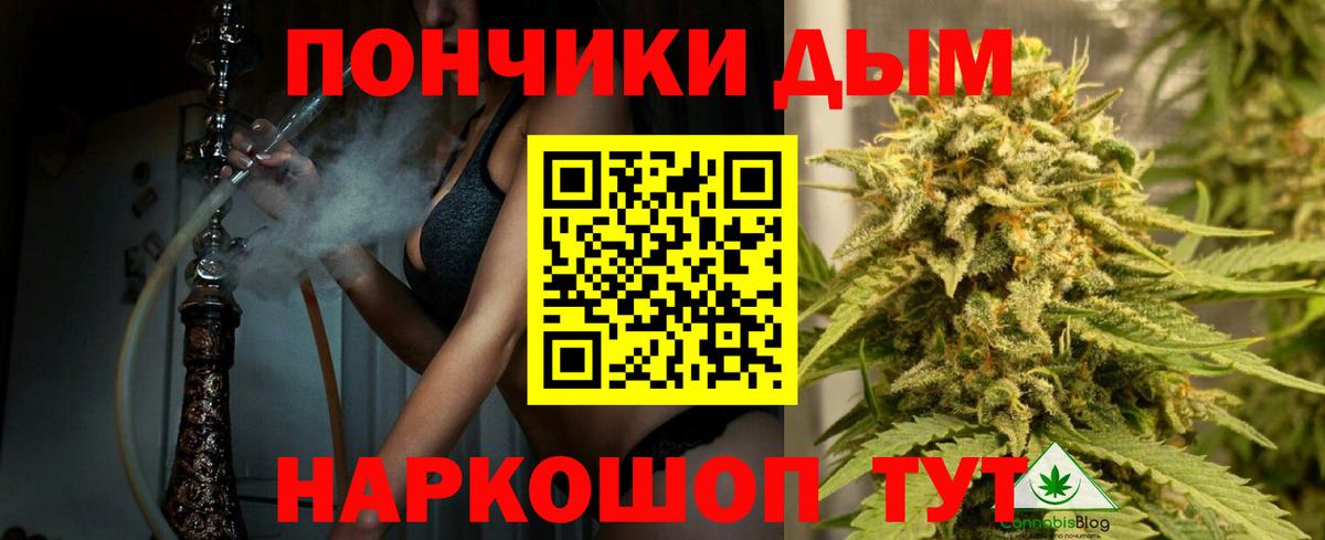 Бошки марихуана план  Каннабис марихуана  Вход с VPN  Протвино  Шишки марихуана THC 21%  Каннабис VHQ 